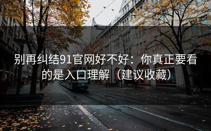 别再纠结91官网好不好：你真正要看的是入口理解（建议收藏）